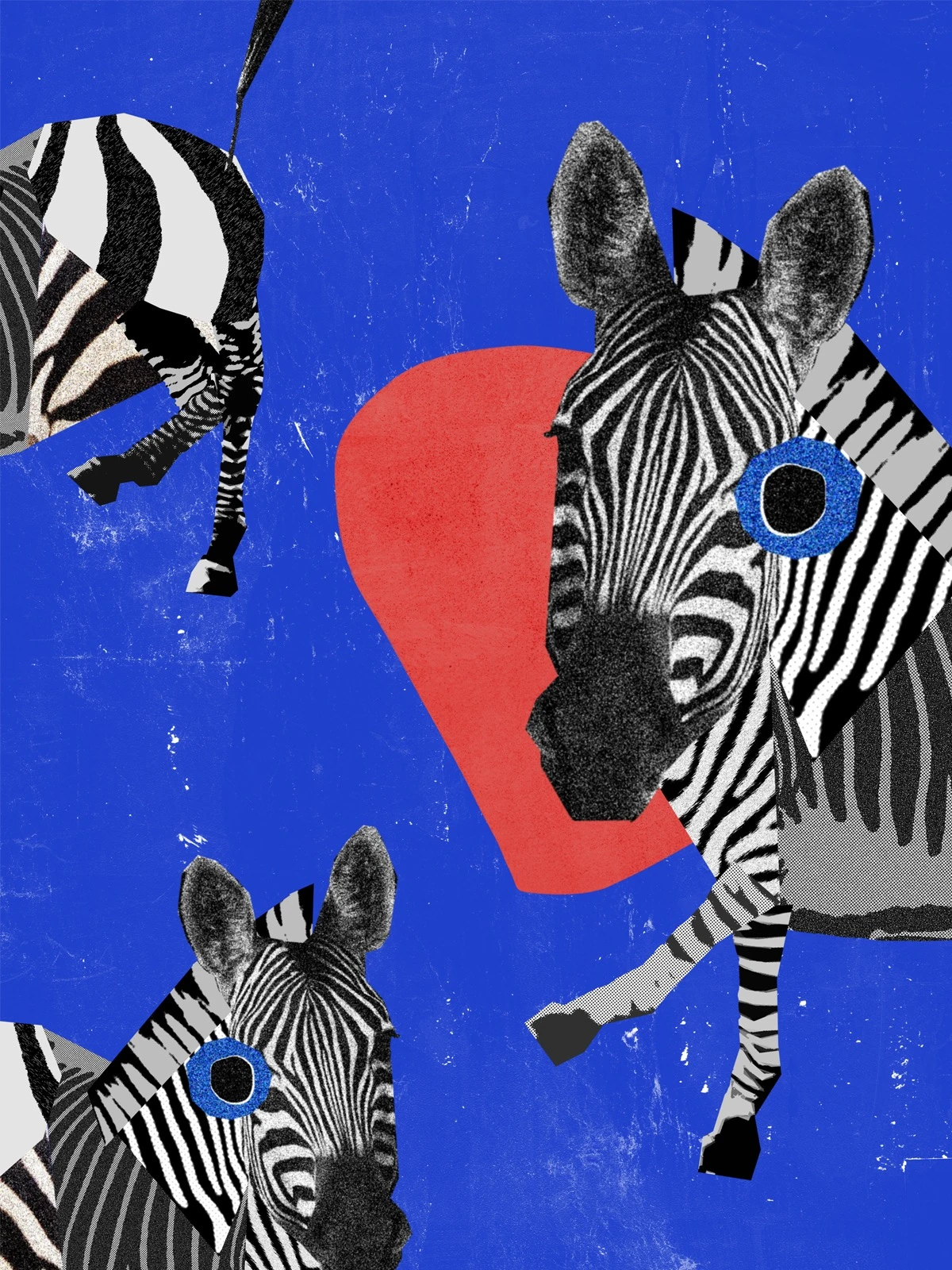 ANIMAL JAZZ
