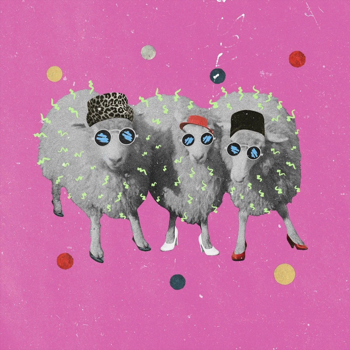 Three sheep posed together in a tribute to vintage group photography